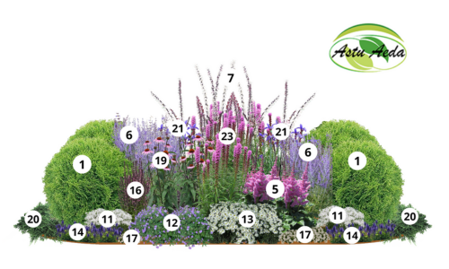 TF kujundus nr. 17 kujunduspilt 1 külg jrk. nr