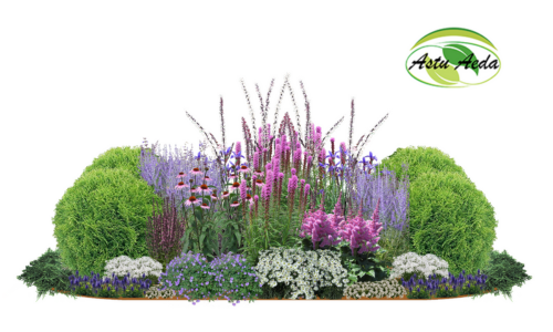 TF kujundus nr. 17 kujunduspilt 1 külg