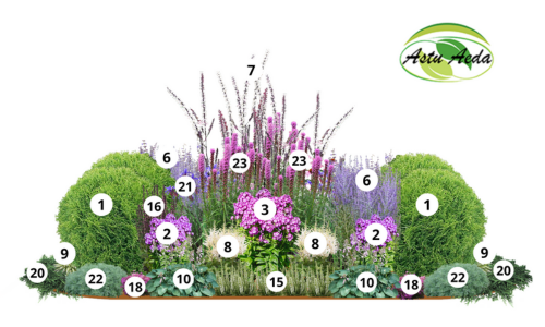 TF kujundus nr. 17 kujunduspilt 2 külg jrk. nr