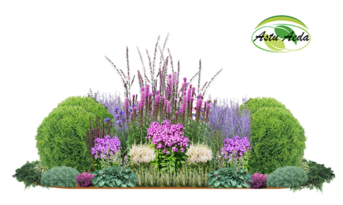 TF kujundus nr. 17 kujunduspilt 2 külg