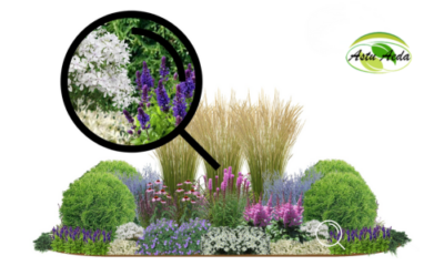 TF kujundus nr. 16 ZOOM kujunduspilt