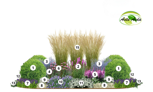 TF kujundus nr. 16 kujunduspilt jrk. nr.