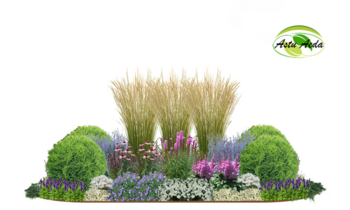 TF kujundus nr. 16 kujunduspilt keskel kõrrelised