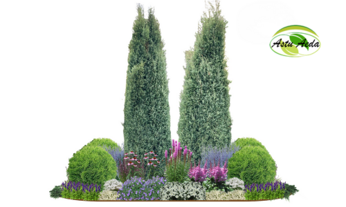 TF kujundus nr. 16 kujunduspilt keskel okaspuu