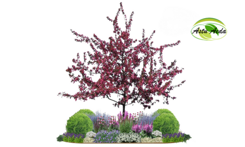 TF kujundus nr. 16 kujunduspilt keskel õunapuu