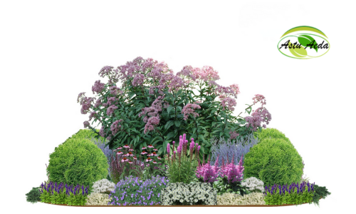 TF kujundus nr. 16 kujunduspilt keskel püsik