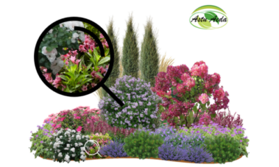 TF kujundus nr. 27 ZOOM kujunduspilt