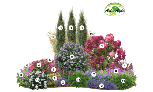 TF kujundus nr. 27 kujunduspilt jrk. nr.