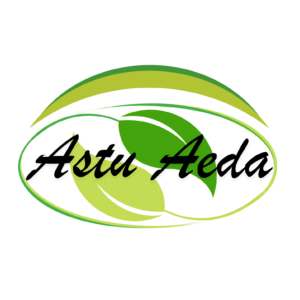 logo Astu Aeda