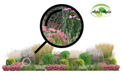 TF kujundus nr. 1 ZOOM kujunduspilt