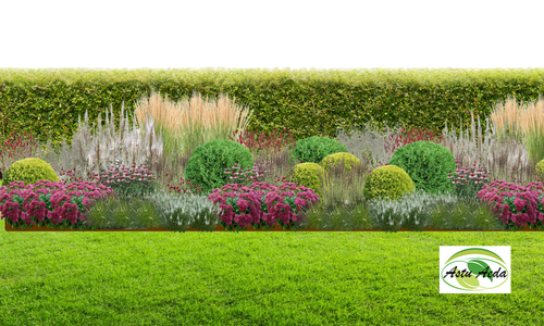 TF kujundus nr. 1 fotol 4