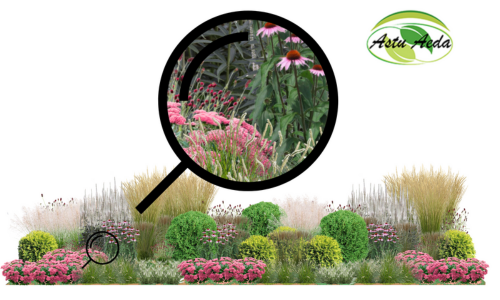 TF kujundus nr. 1 kujunduspilt ZOOM