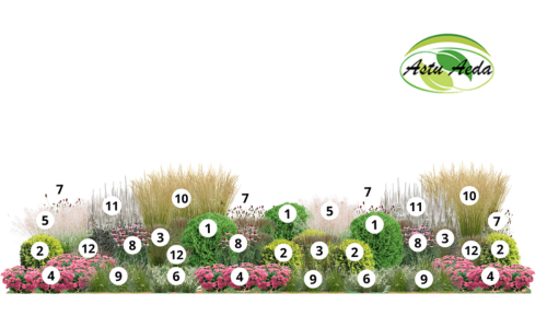 TF kujundus nr. 1 kujunduspilt jrk.nr