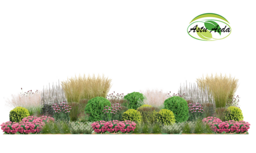 TF kujundus nr. 1 kujunduspilt