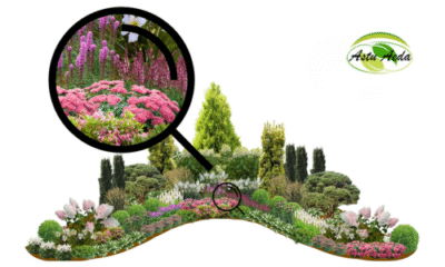 TF kujundus nr. 2 kujunduspilt ZOOM