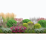 Kujundus nr. 1 ristkülikukujuline 23,5 m²