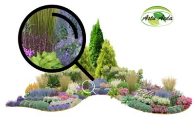 TF kujundus nr. 6 ZOOM kujunduspilt