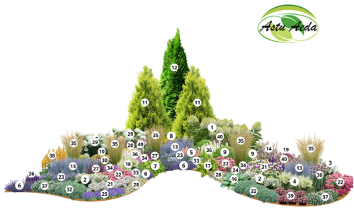 TF kujundus nr. 6 kujunduspilt jrk. nr.