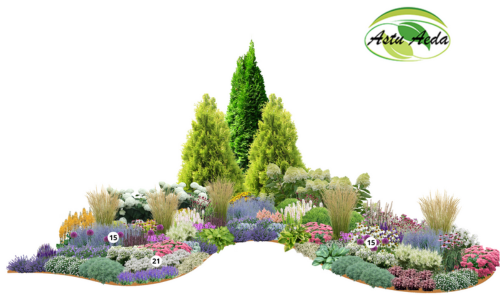 TF kujundus nr. 6 kujunduspilt kevadlillede jrk. nr.