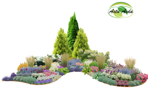 TF kujundus nr. 6 kujunduspilt kevadlilledega