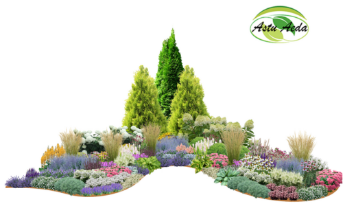 TF kujundus nr. 6 kujunduspilt