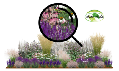 TF kujundus nr. 7 ZOOM kujunduspilt