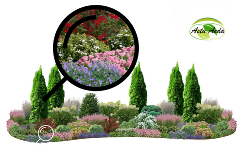 TF Kujundus nr. 3 ZOOM kujunduspilt