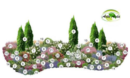 TF Kujundus nr. 3 kujunduspilt jrk.nr.