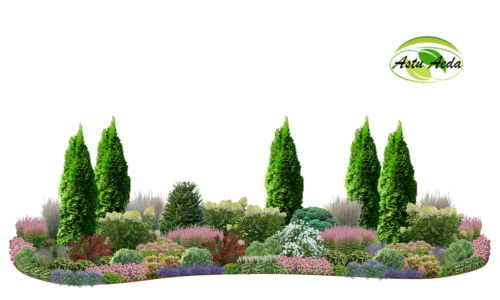 TF Kujundus nr. 3 kujunduspilt