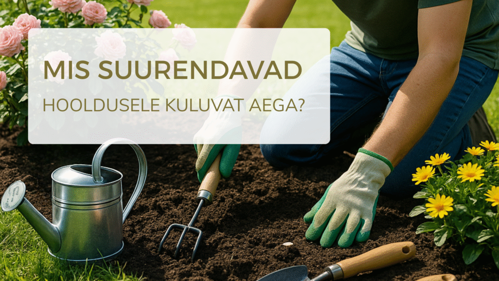 Mis suurendavad aiahooldusele kuluvat aega?