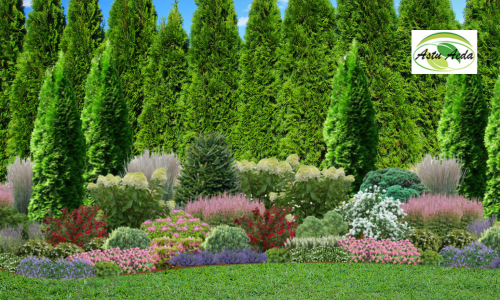 TF Kujundus nr. 3 fotol 9