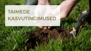 Taimede kasvutingimused