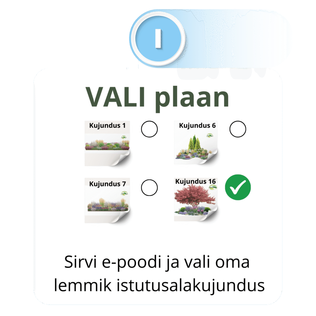 Kuidas see töötab - samm 1