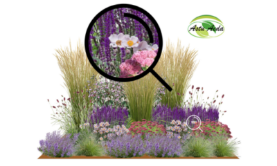 TF kujundus nr. 8 ZOOM kujunduspilt