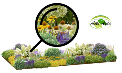 TF kujundus nr. 4 ZOOM kujunduspilt