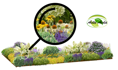 TF kujundus nr. 4 ZOOM kujunduspilt