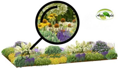 tf kujundus nr. 4 kujunduspilt ZOOM