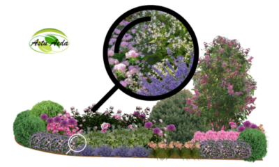 TF kujundus nr. 10 ZOOM kujunduspilt laukudega