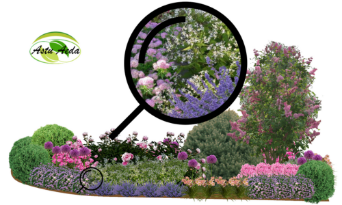 TF kujundus nr. 10 kujunduspilt Zoom