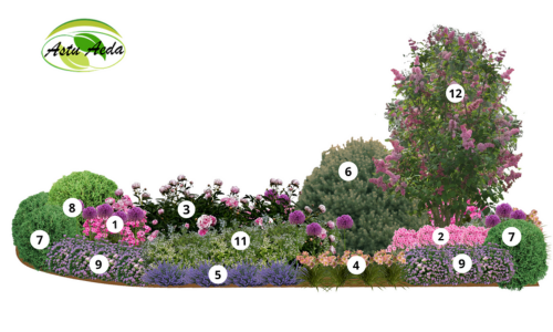 TF kujundus nr. 10 kujunduspilt ilma laukudeta