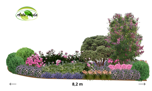 TF kujundus nr. 10 kujunduspilt mõõduga