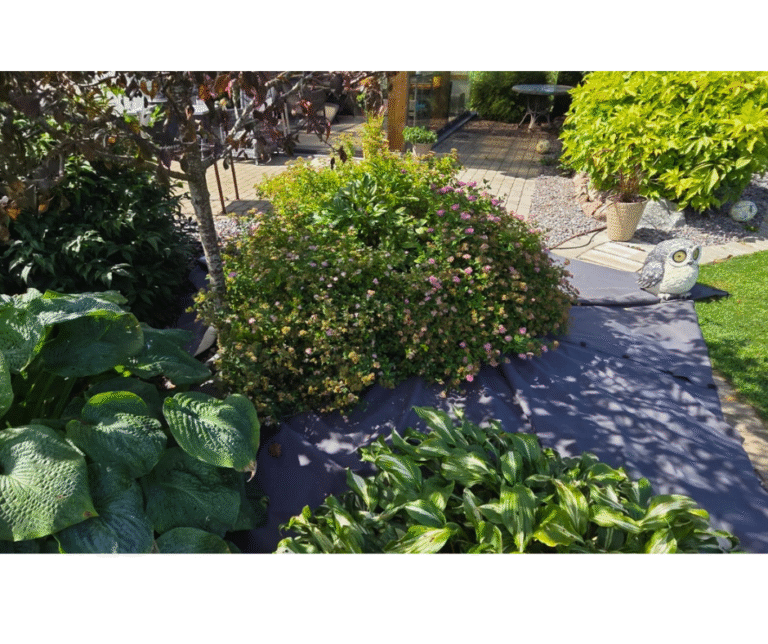 Enelate grupp poolvarjus toetamas pojengipõõsast