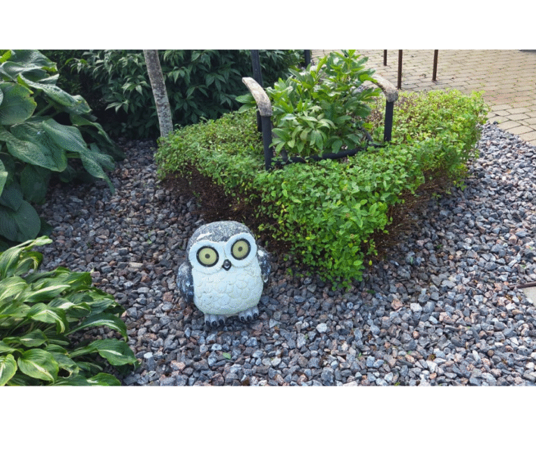 Poolvarjus enelate grupp pärast lõikust augusti alguses