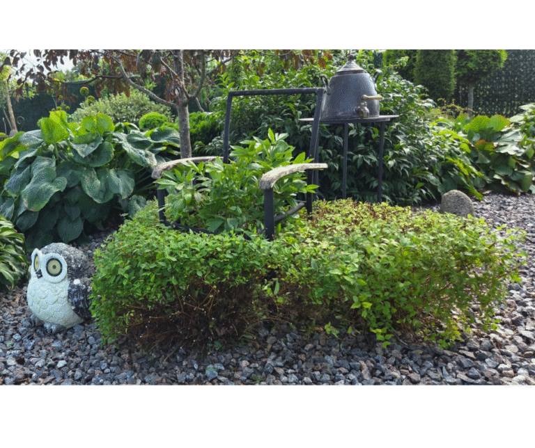 Pärast vormilõikust augusti alguses. Kevadel neid enelaid ei lõigata enam.