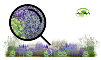 TF kujundus nr. 11 ZOOM kujunduspilt