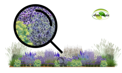 tf kujundus nr. 11 kujunduspilt ZOOM