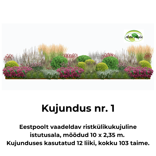 Kujundus nr. 1 – ristkülikukujuline istutusala