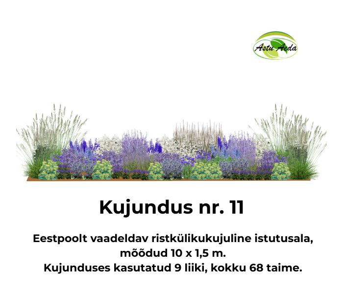 Kujundus nr. 11 – ristkülikukujuline istutusala ‘Taeva peegeldus’