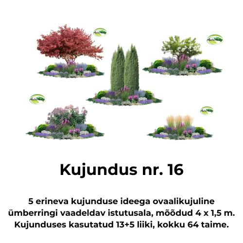 Kujundus nr. 16 – ovaali kujuline istutusala 5 kujundusega