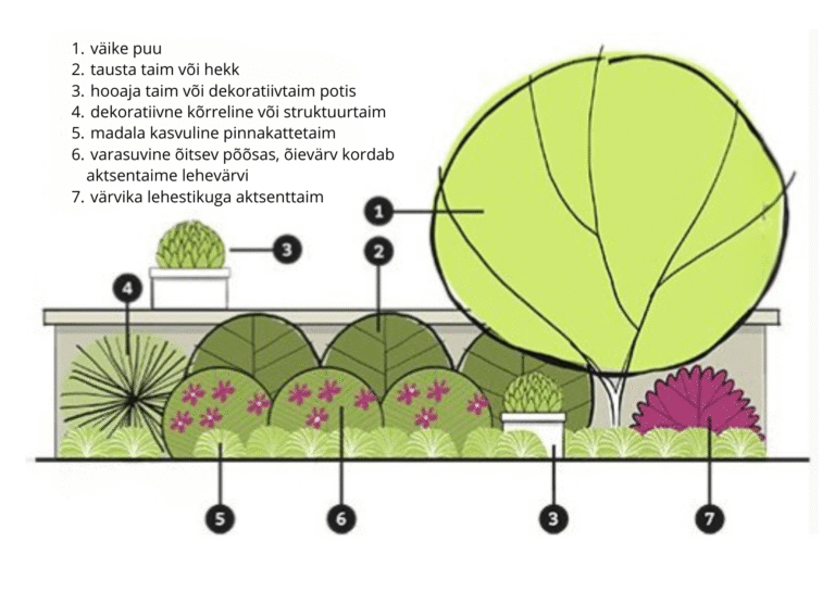 eest vaadeldav segapeenra skeem taimenimedega aia, heki või hoone äärde